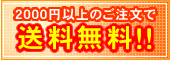 送料無料